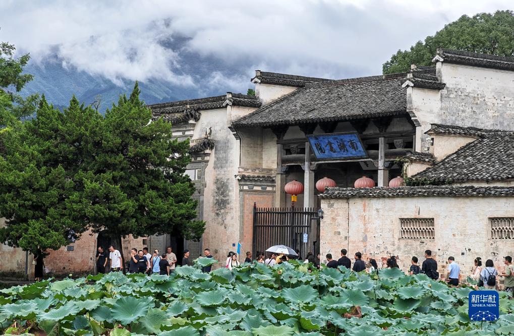 大的平台提款身份审核